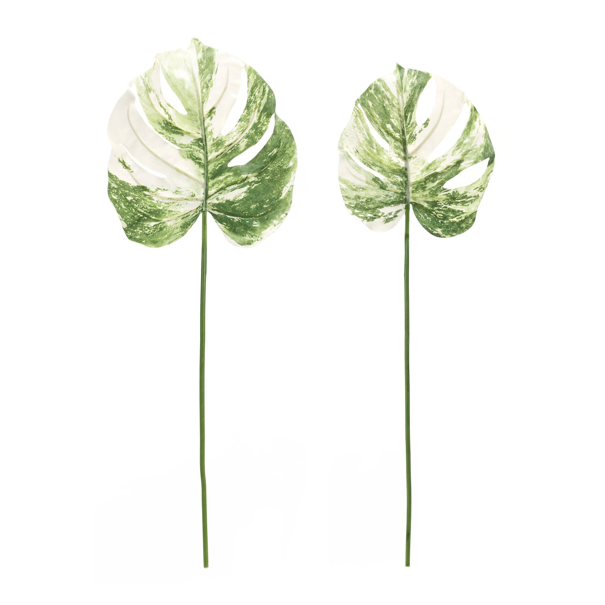Light Variegated Philo Leaf Stems Set